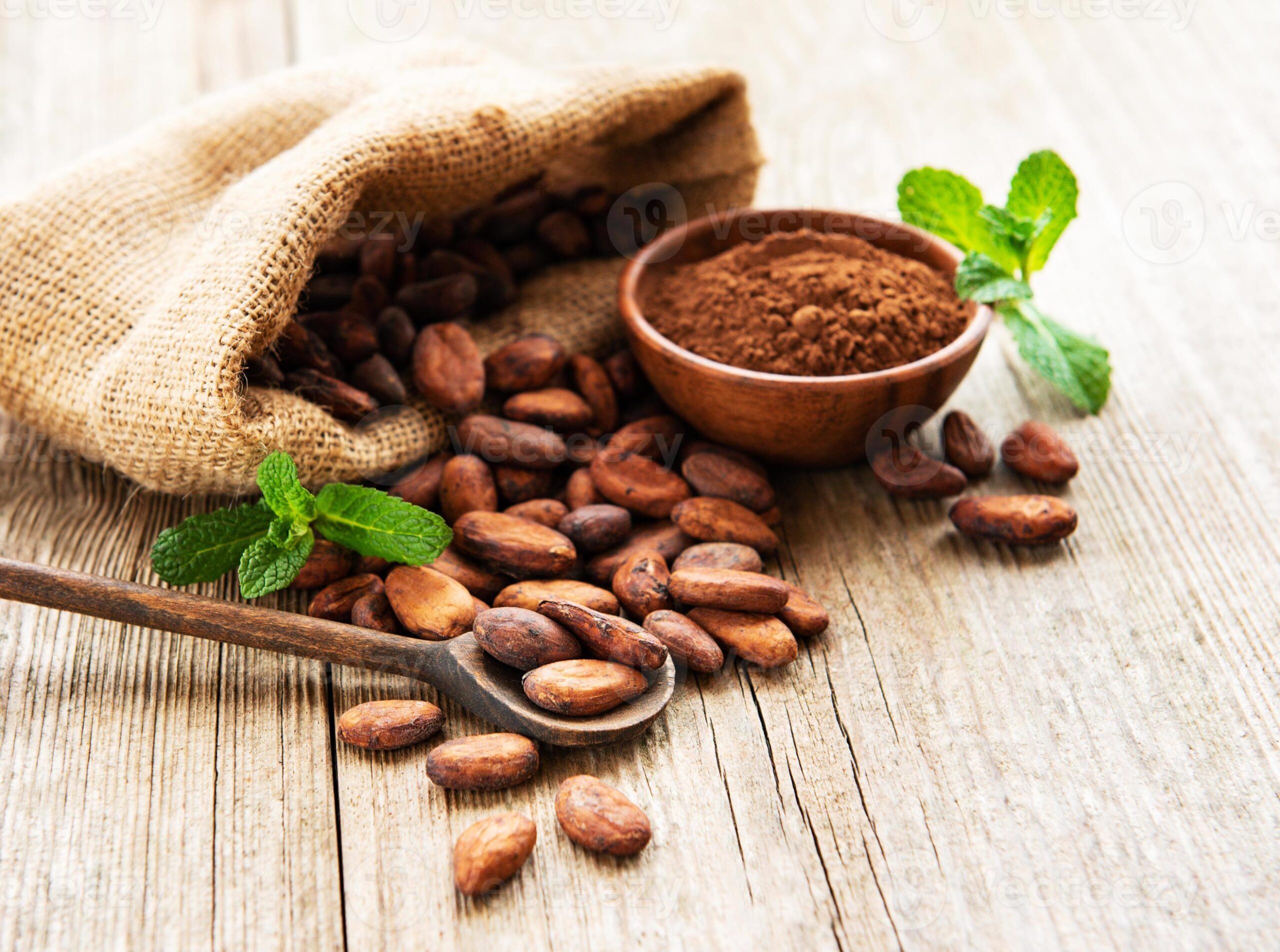 Alkalized cocoa powder supplier in Afghanistan