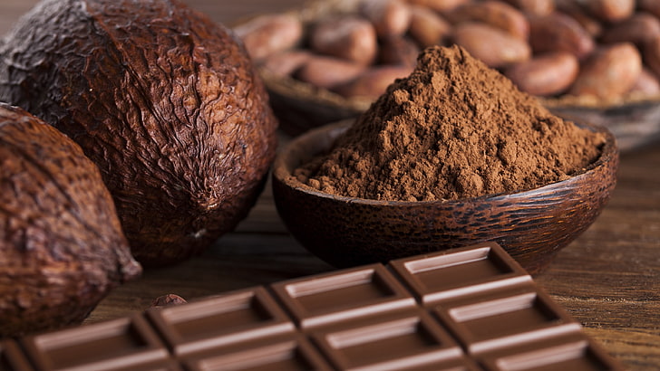 Alkalized cocoa powder supplier in Jordan