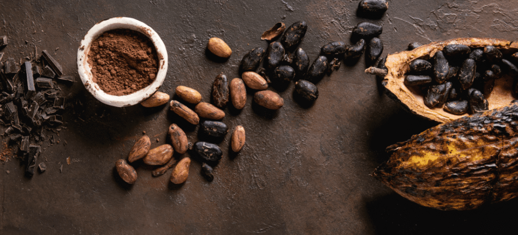 Alkalized cocoa powder supplier in Libya