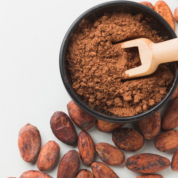Alkalized cocoa powder supplier in Syria