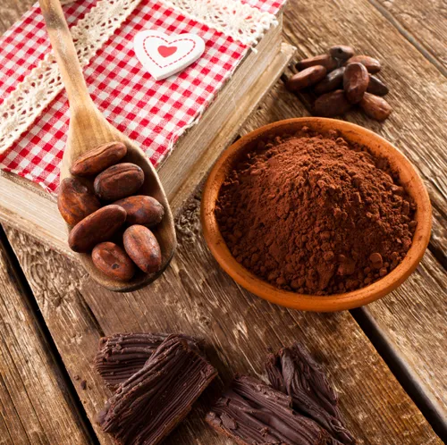 Alkalized cocoa powder supplier in UAE