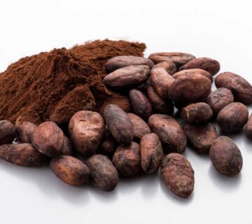 Best Cocoa Powder Supplier Middle East