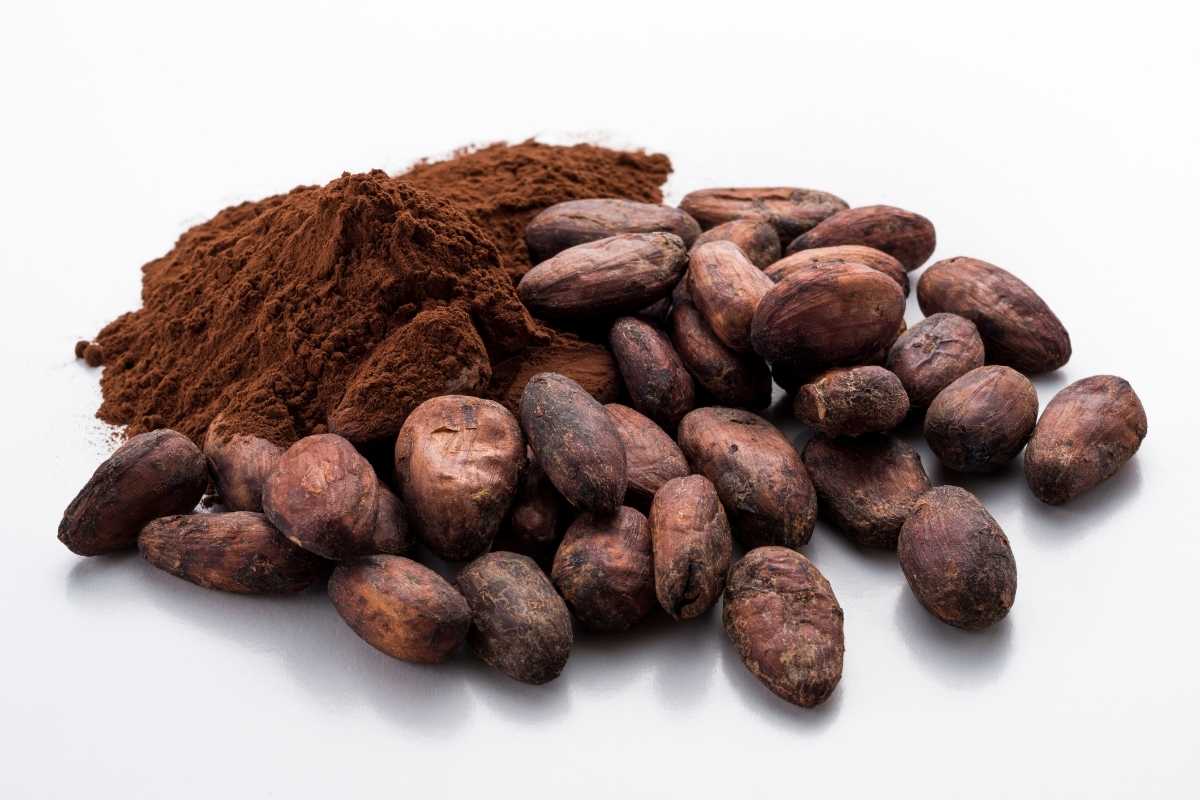 Best Cocoa Powder Supplier Middle East