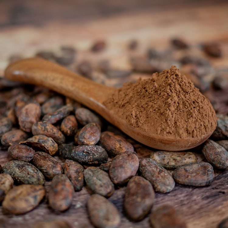 Bulk Cocoa Powder Algiers Import