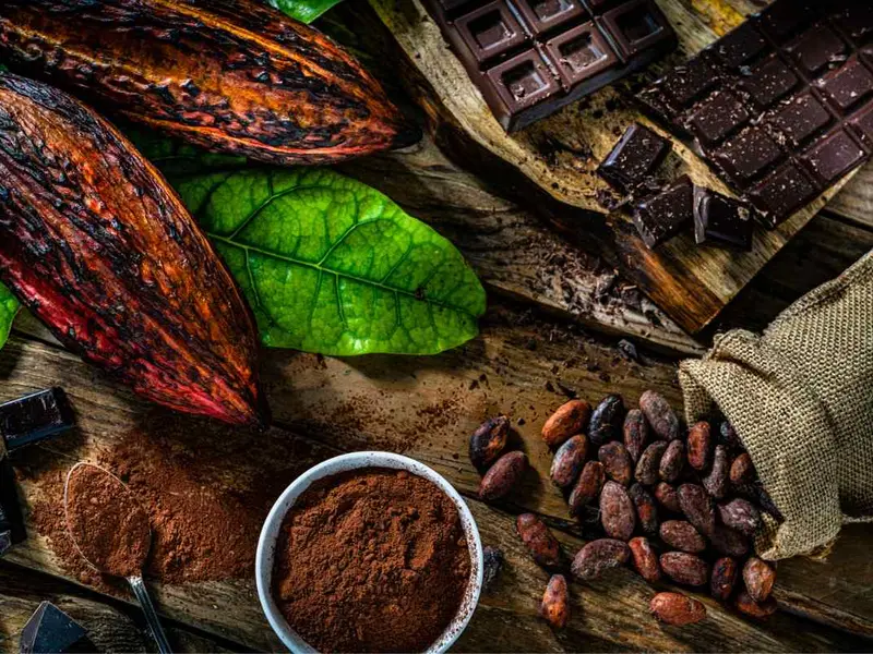 Bulk Cocoa Powder Casablanca Import