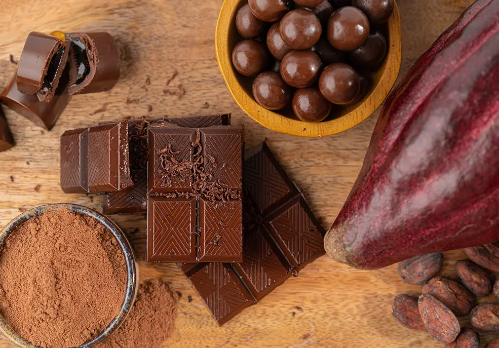 Bulk Cocoa Powder Gaza Import