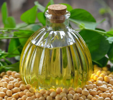 CBR from Soybean Oil Supplier