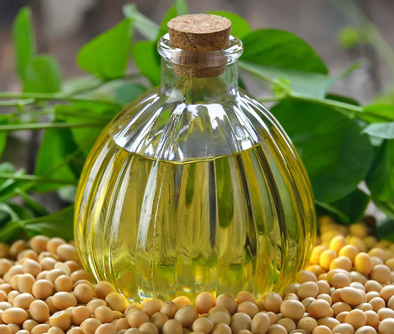 CBR from Soybean Oil Supplier