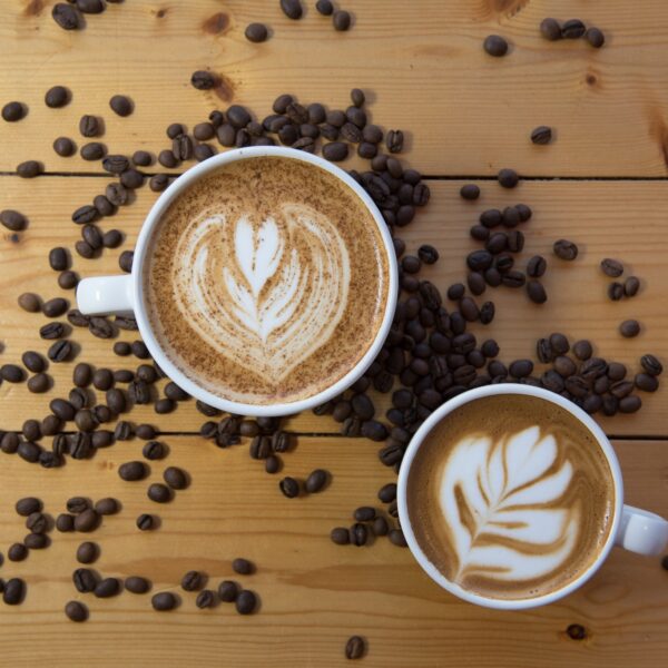 Cappuccino premix suppliers