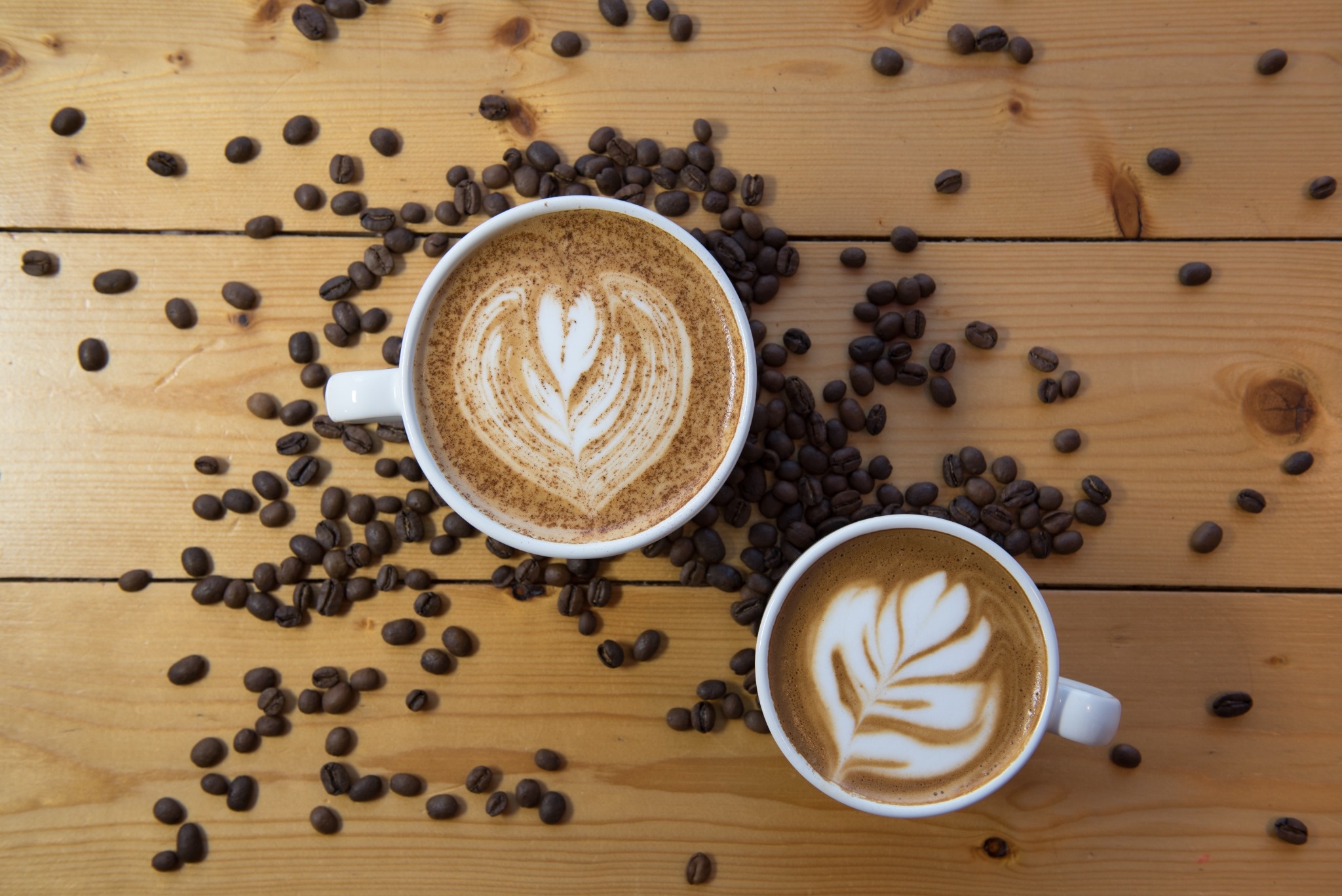 Cappuccino premix suppliers