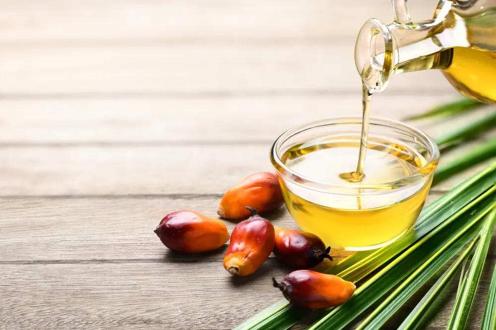 Palm Kernel Oil Fractions from TÜRKİYE for Bakery Applications