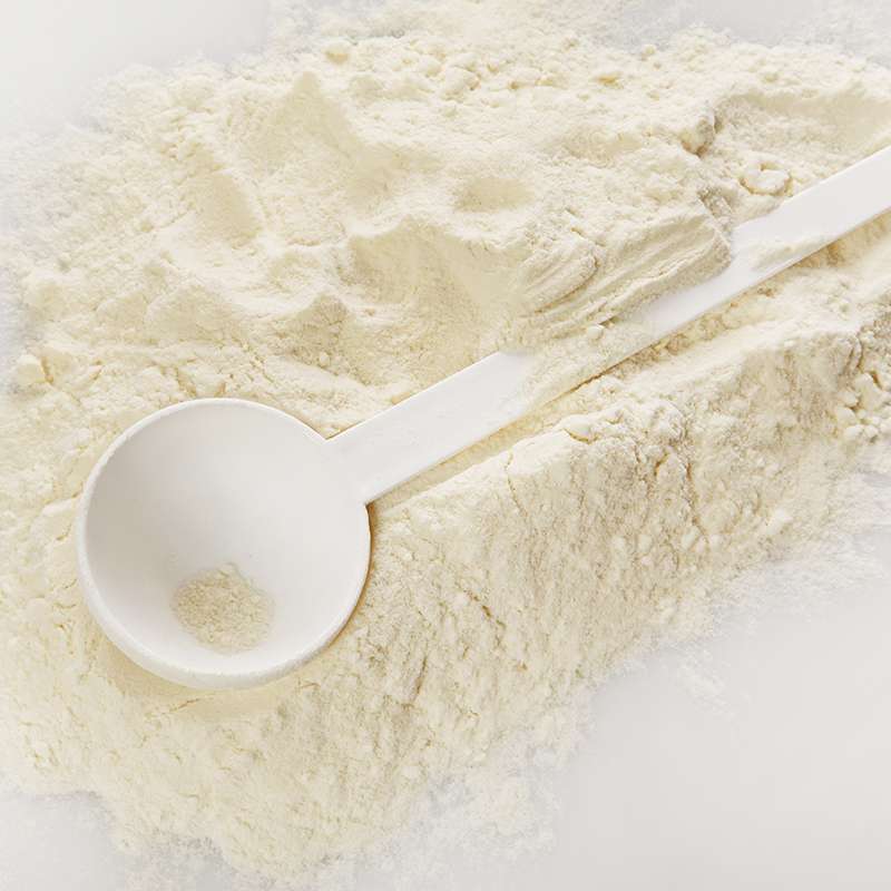 Casein supplier in Libya