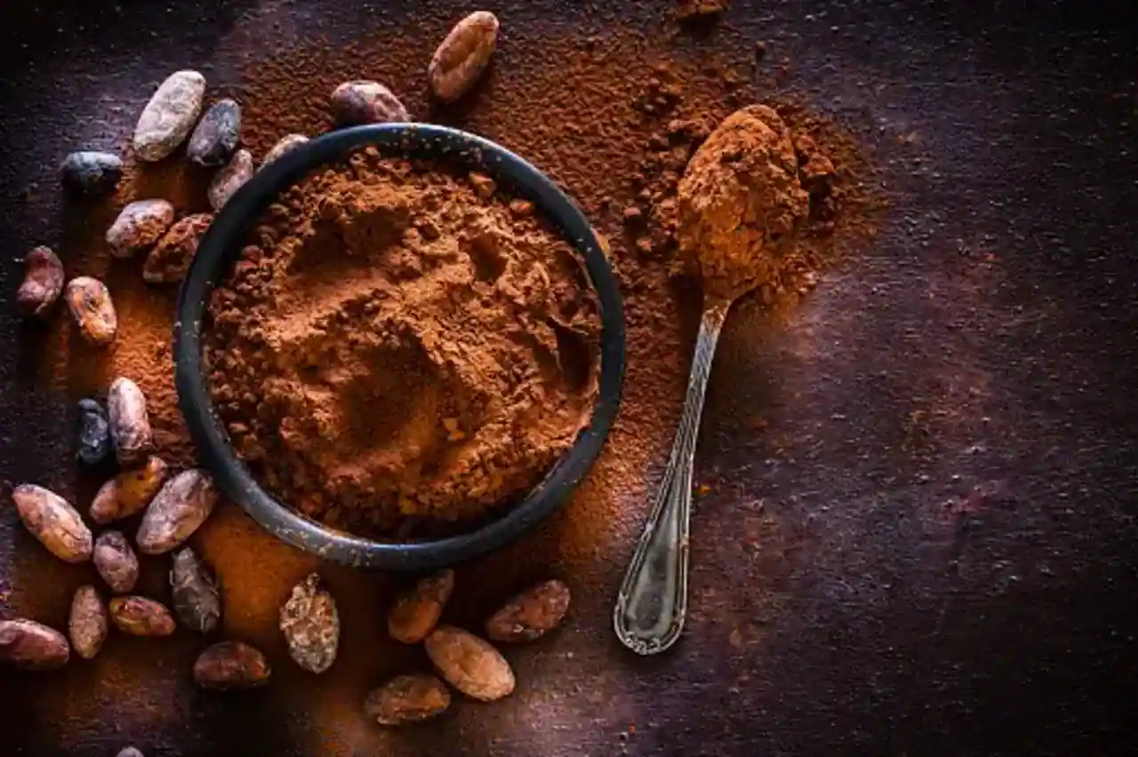Choosing a Cocoa Powder Supplier