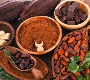 Cocoa Powder Supplier in Egypt