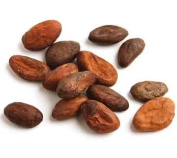 Cocoa Powder Wholesale Prices TÜRKİYE