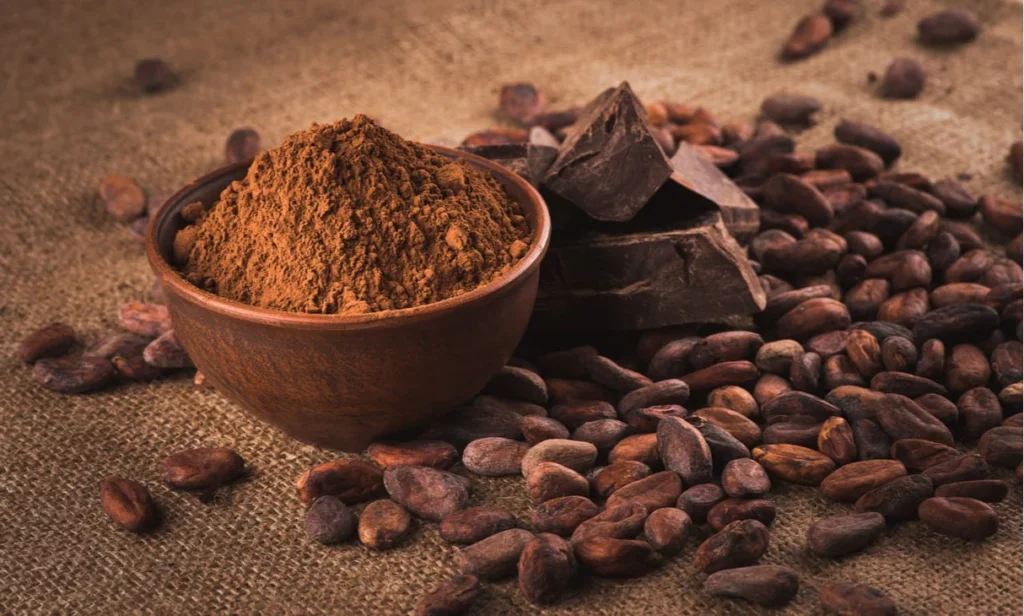 Cocoa Powder for Bakery Industry TÜRKİYE