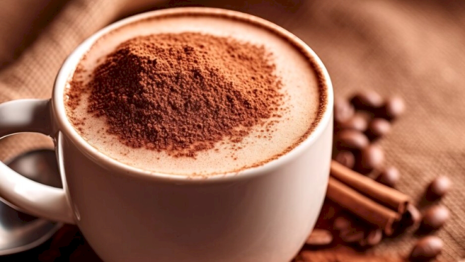 Cocoa Powder for Confectionery Algeria