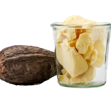 Cocoa butter imports from TÜRKİYE to Palestinian confectionery Cocoa butter imports from TÜRKİYE to Palestinian confectionery