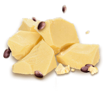 Cocoa butter supplier in Lebanon