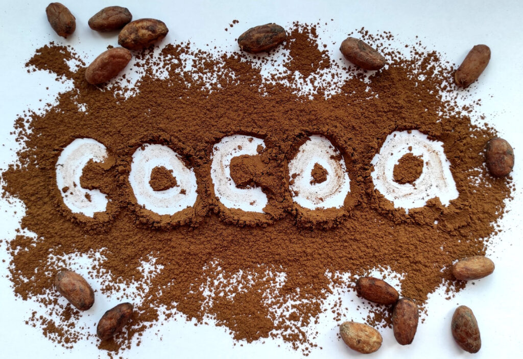 Cocoa powder supplier in Jordan