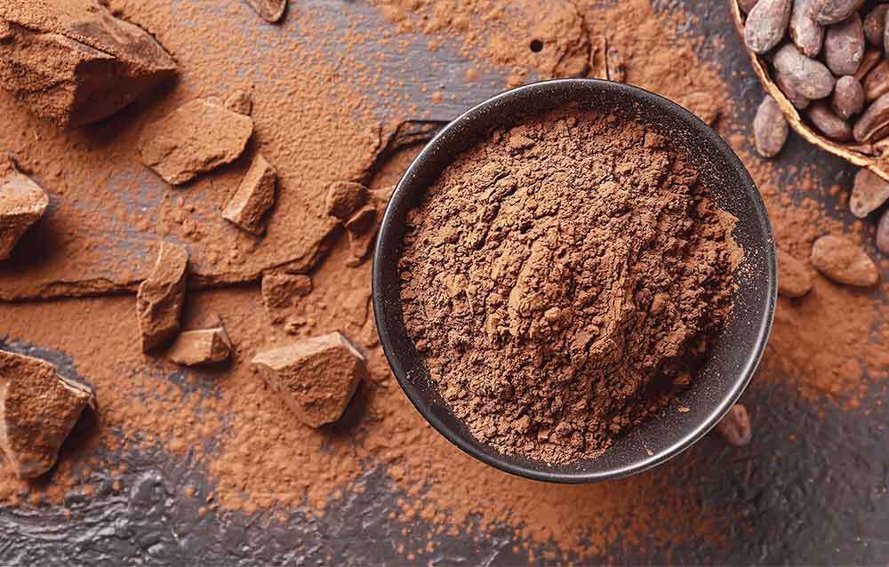 Cocoa powder suppliers in TÜRKİYE