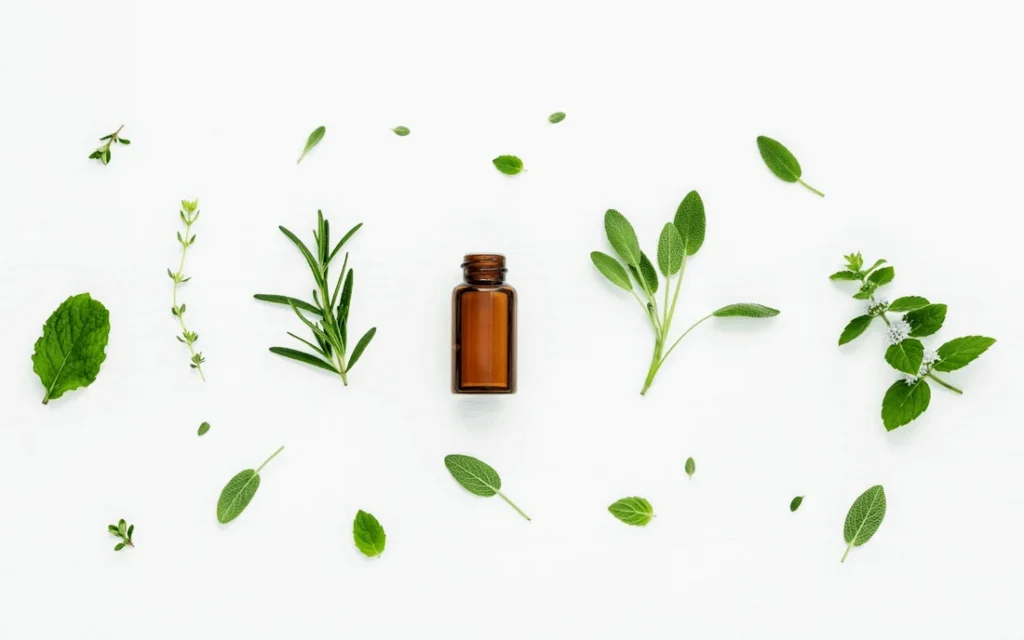 Essential oils for food industry
