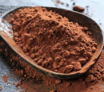 Dark Cocoa Powder Iraq Supplier