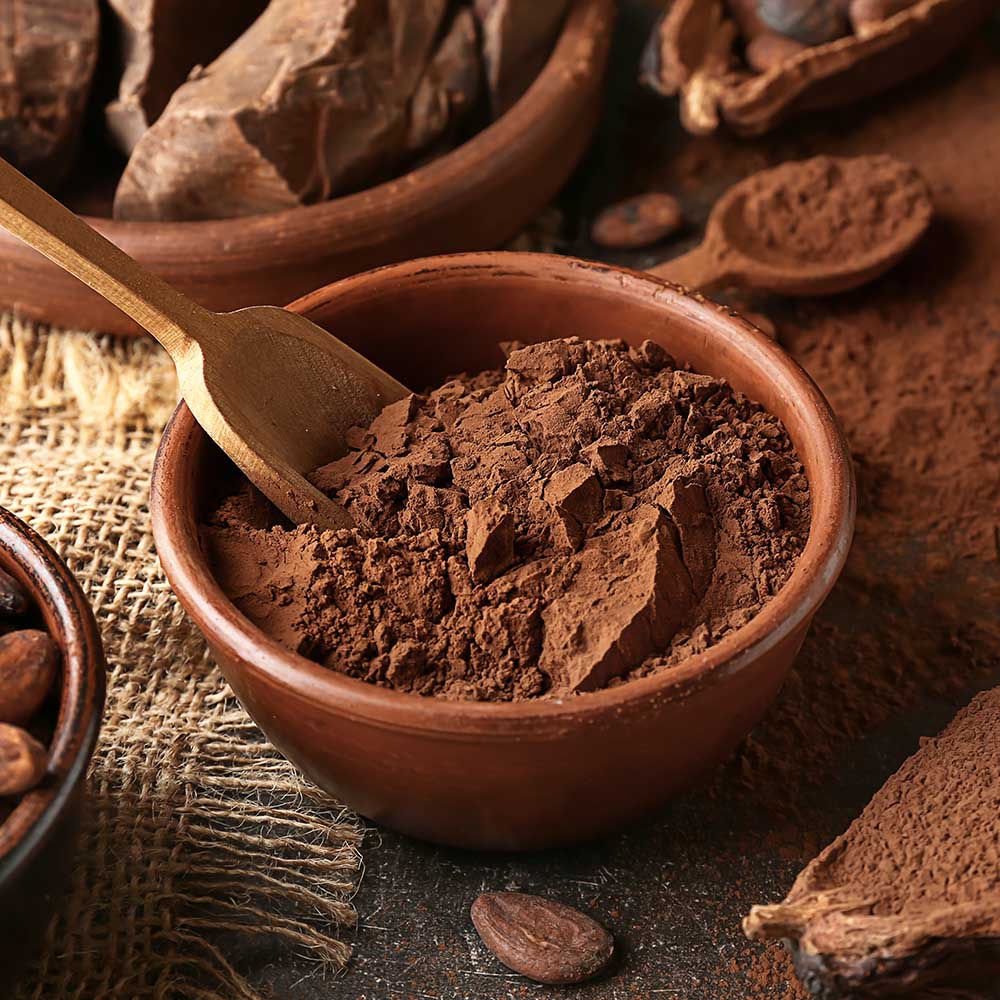 Dark Cocoa Powder Iraq Supplier