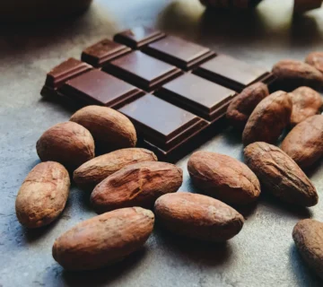 Dark Cocoa Powder Manufacturers TÜRKİYE