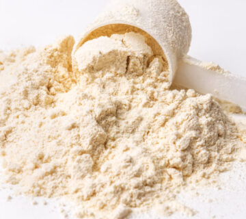Wholesale Demineralized Whey Powder TÜRKİYE