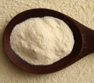 Roller Dried Milk Powder Wholesale