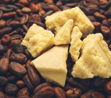 Import regulations for cocoa products in Palestine