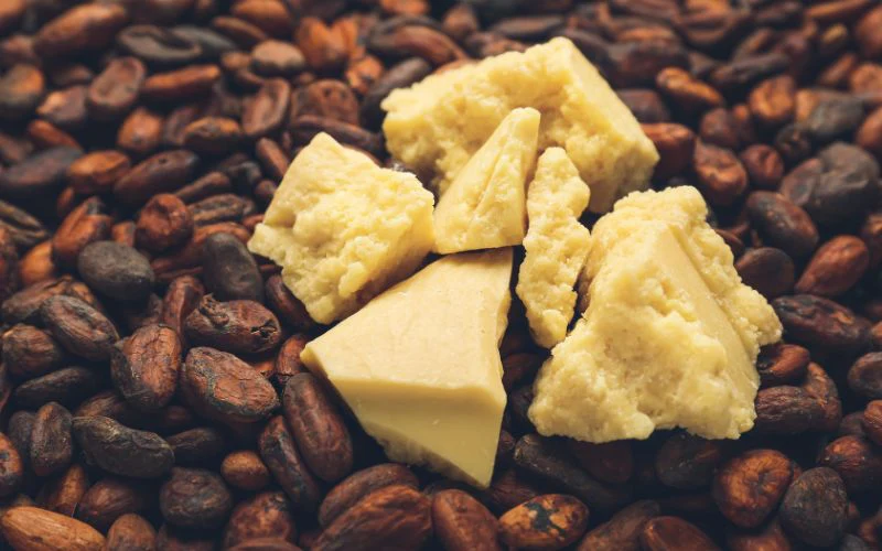 Import regulations for cocoa products in Palestine