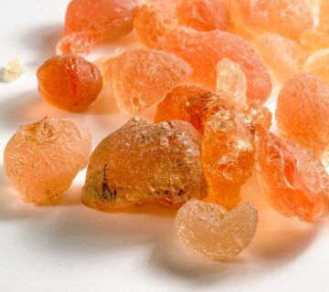 Instant Soluble Acacia Gum – Beverage Grade