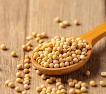 Soy lecithin vs sunflower lecithin