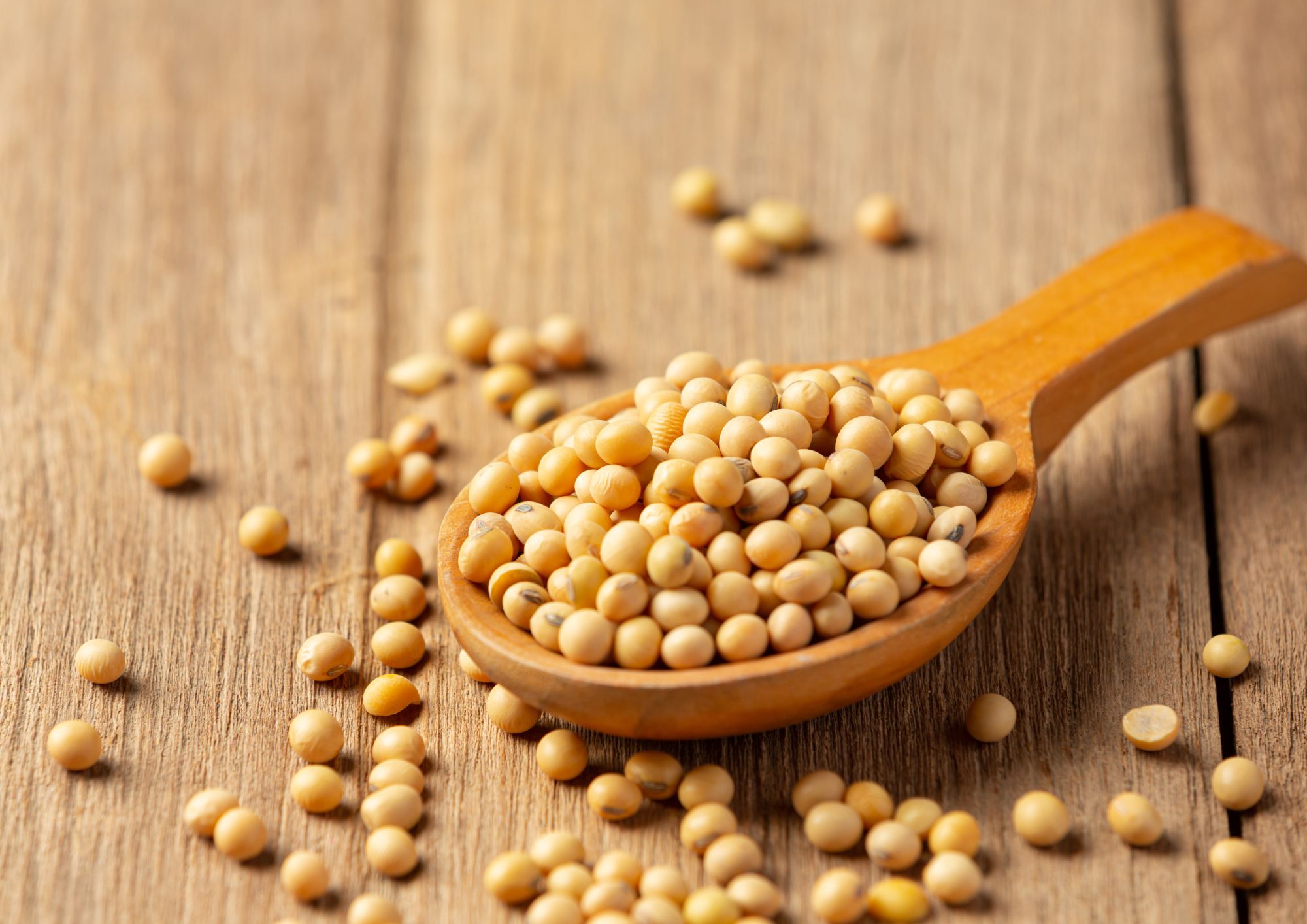 Soy lecithin vs sunflower lecithin