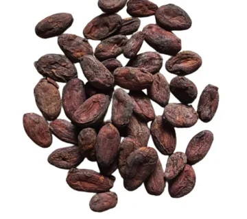 Latamarko Cocoa Powder from Spain — Distributed by MT Royal in TÜRKİYE