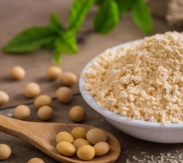 Leading Soy Lecithin Exporters from TÜRKİYE for Food Industry