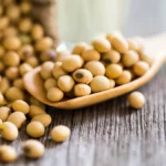 Lecithin for Animal Feed Industry