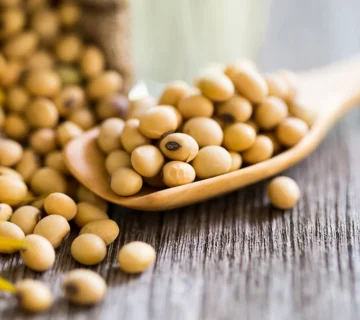Lecithin for Animal Feed Industry