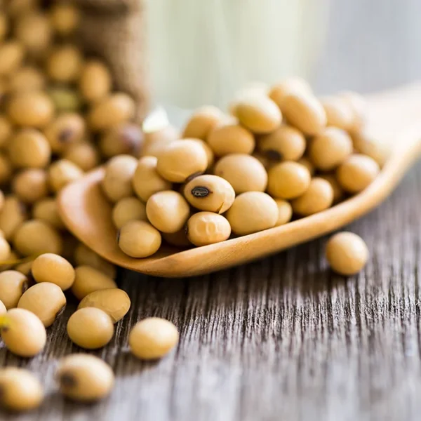 Lecithin for Animal Feed Industry