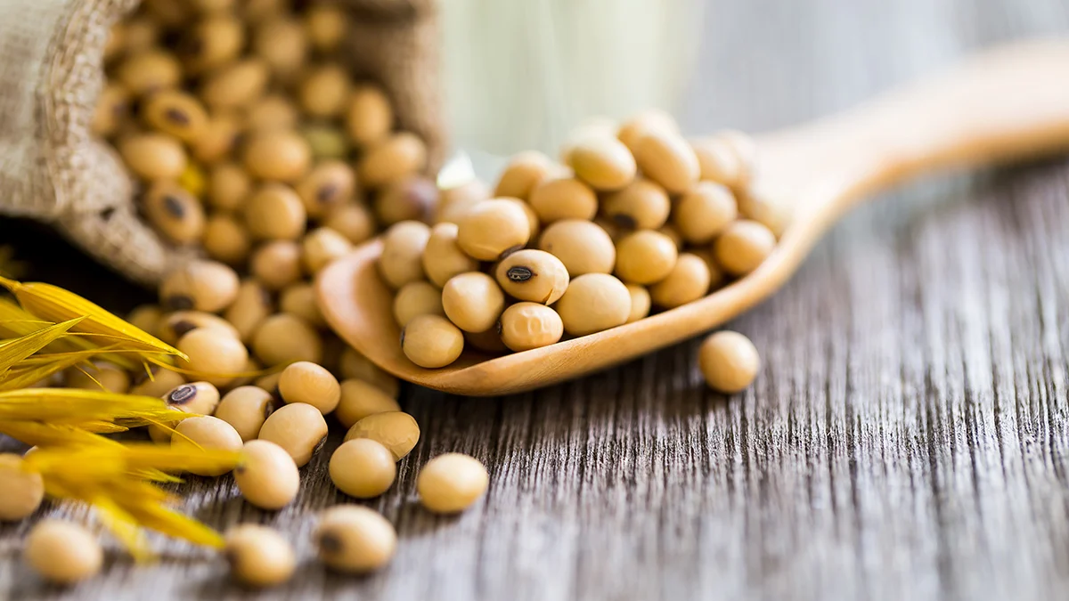 Lecithin for Animal Feed Industry