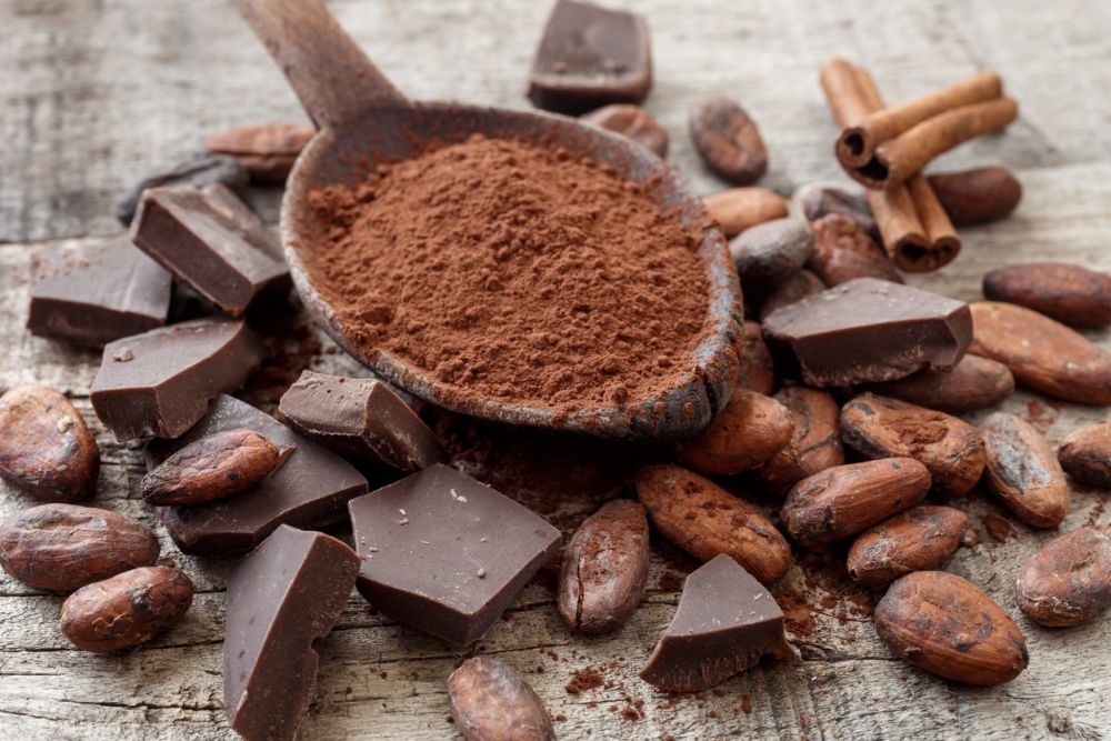 Low Fat Cocoa Powder Exporter