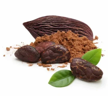 Natural Cocoa Powder Tunisia Supplier Natural Cocoa Powder Tunisia Supplier