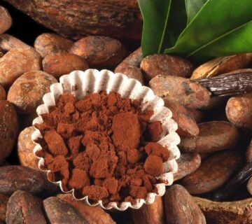Natural Cocoa Powder UAE Supplier