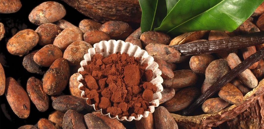 Natural Cocoa Powder UAE Supplier