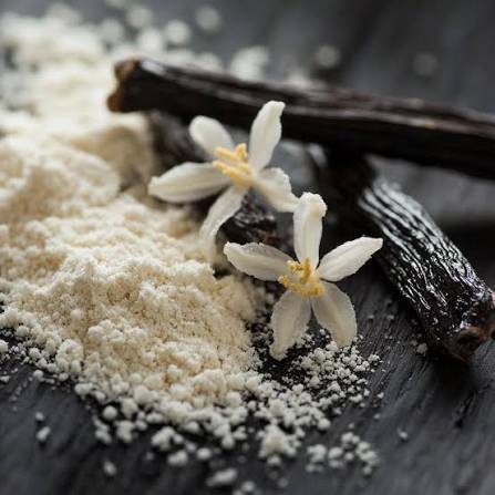 Natural Vanilla Powder Supplier