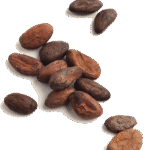 Natural cocoa powder supplier in Egypt