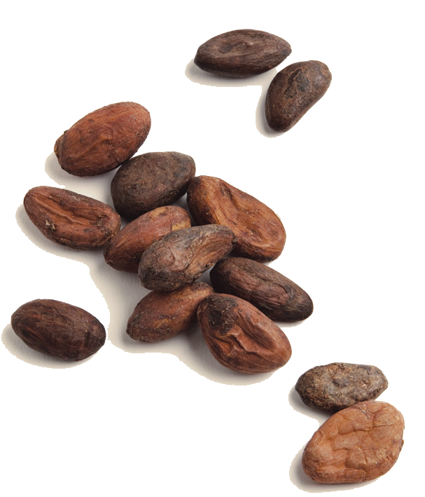 Natural cocoa powder supplier in Egypt