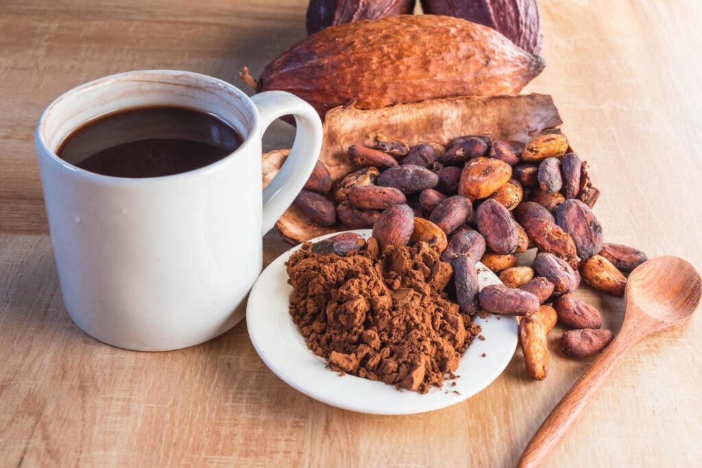 Natural cocoa powder supplier in Saudi Arabia